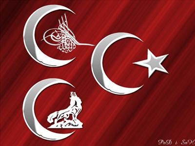 Mhp Oder Pkk