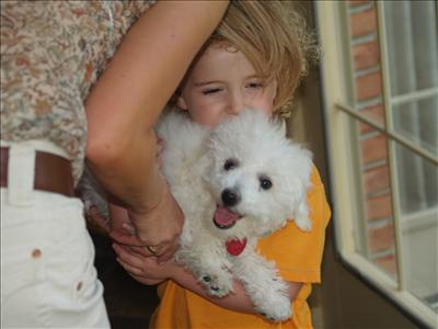 What Does Your Pet Think Of You?