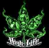 High Or Not