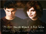 Twilight Ta Kimsin?