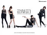 Siapa Kamu Di 2Ne1???