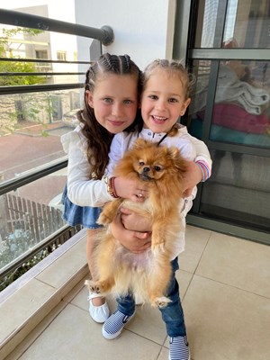 חידון חיות 