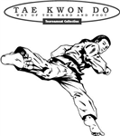 Jihed's Taekwondo