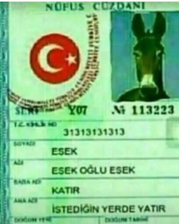 Ne Kadar Otistiksin?