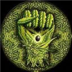 A.E.H