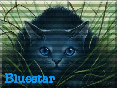 Who Is Your Favorite Thunderclan Cat?