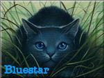 Who Is Your Favorite Thunderclan Cat?