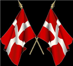 Hvor Dansk Er Du Idag?