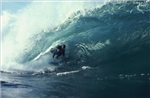 Fisher