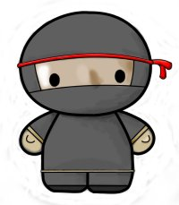 Ninja Or Noob