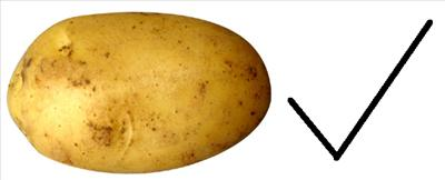 Are You A Potato