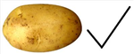 Are You A Potato