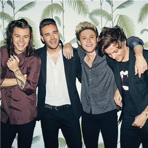 Hangi One Direction Erkeği Senin