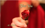 عاشقانه هام