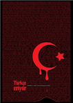 Türkiye Ve Türkçe Sevdalıları