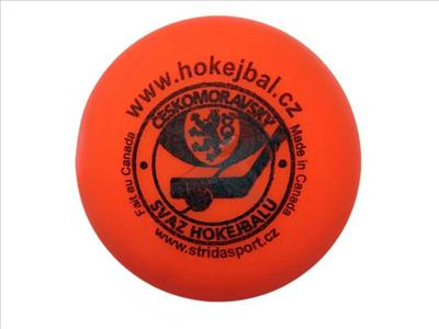 Hokejbal Vs. Hokej