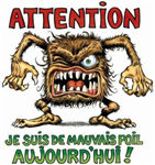 Bonne Ou Mauvaise Humeur ?