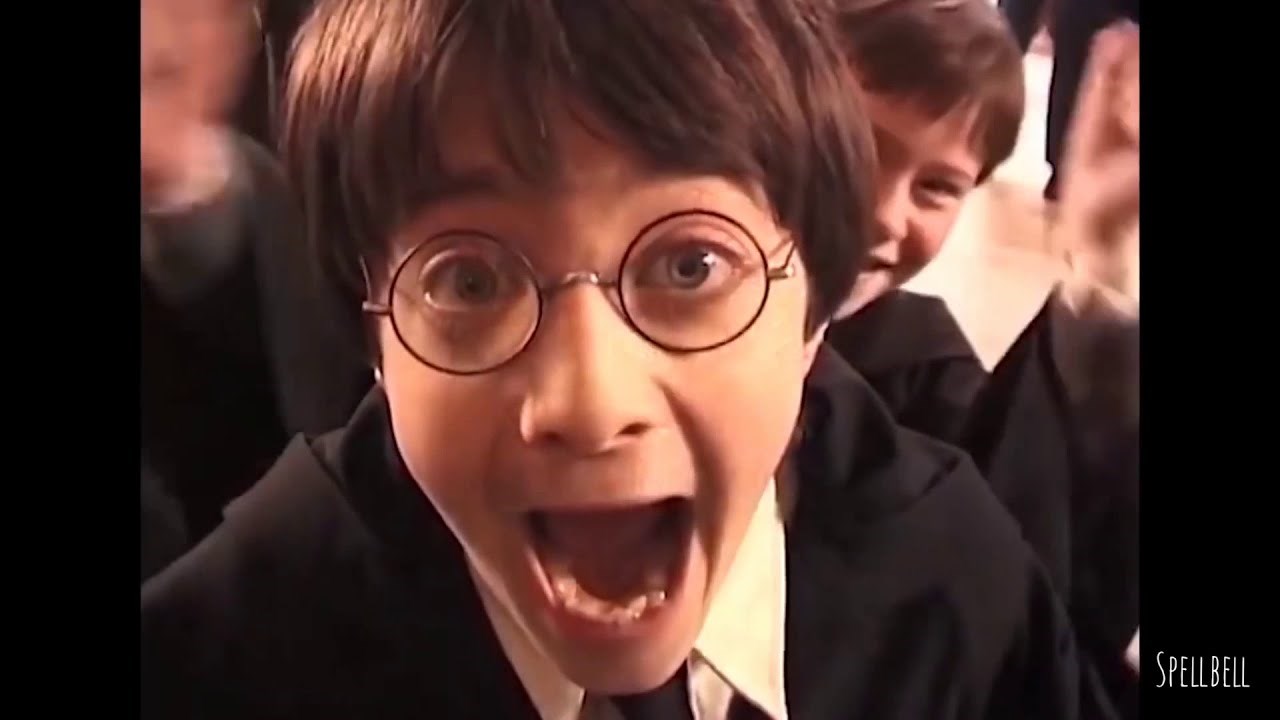 What Harry Potter Character Are You ?