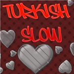 En Sevdiğiniz Şarkı Türü