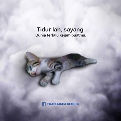 Seberapa sayang kamu dengan kucing bagian 1