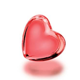 Do You Love Him/Her