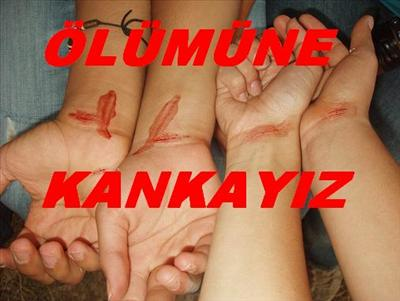 Sénin İçin Hanqisi Daha Önce Qeliorr ¿