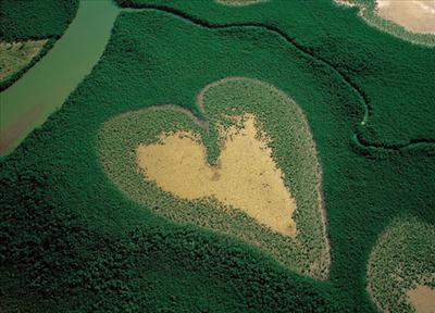 How Eco Frinedly Are You? 