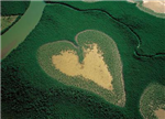How Eco Frinedly Are You? 