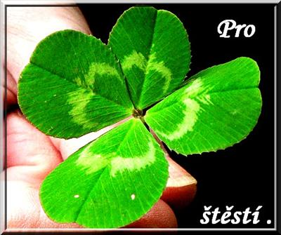 Štěstí