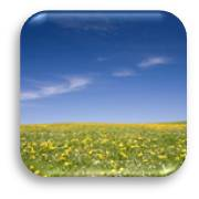 What Is Your Favourite Season?