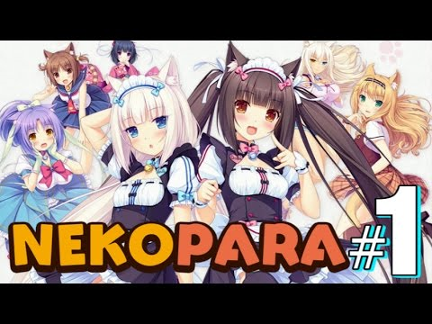 Siapa Waifu Kamu Dalam Nekopara?