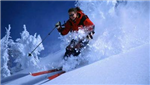 Winter Fun