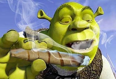 ¿Qué Personaje De Shrek Eres?