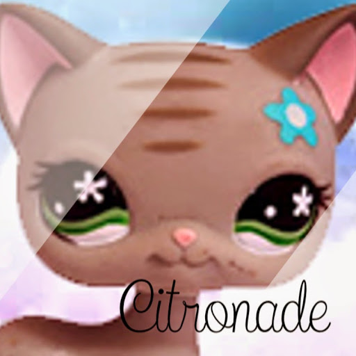 T'es Un Citron ? 