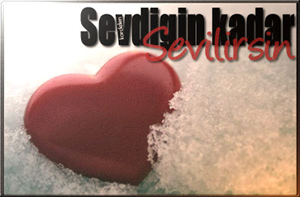 Sevdiğin İçin Herşeyi Yapar Mısı