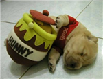 Cuteness Quiz
