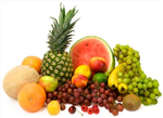 Endeavourz Training Nutrition Workshops