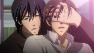 ¿Que Sabes De Junjou Romantica?
