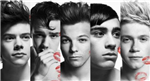 Are You Are Directioner