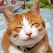 ¿Que Tan Lindo Eres?