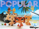 What Lps Popular Pet Are You?