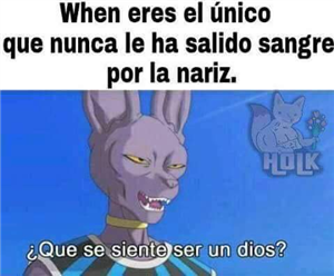Que Tanto Pones Xd???