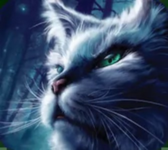 Qui es-tu entre les deux chats qui aiment Étoile Bleue? 