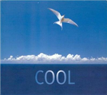 Cool-Testeur