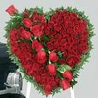 Valentine Day Special