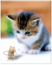 Hamstersklave