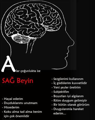 Beyninizin Hangi Tarafını Kullanıyorsunuz