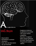 Beyninizin Hangi Tarafını Kullanıyorsunuz