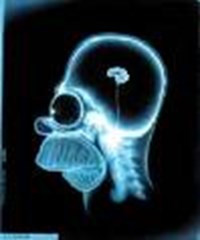Indicador De Inteligencia