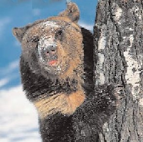Hangi Arqa Sıradaqiler Qaraqhterhisinnn***?_?_??_?